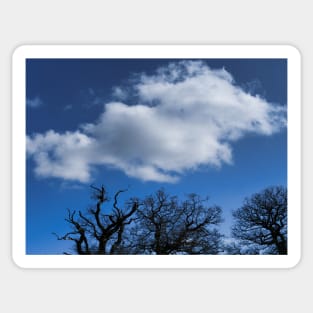 Blue Skies With Clouds And Winter Trees Without Leaves Sticker